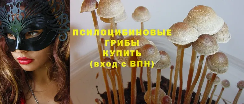 Галлюциногенные грибы MAGIC MUSHROOMS  Белый 